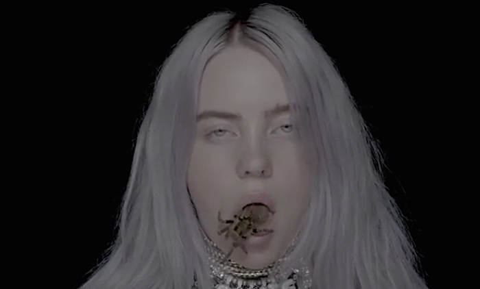 Billie Eilish will tour North America this fall.