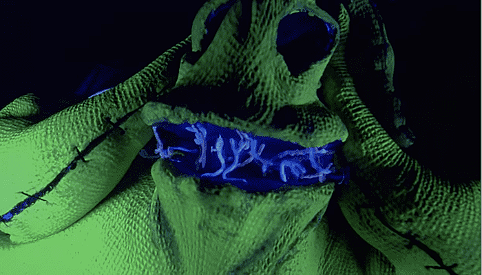 oogie boogie
