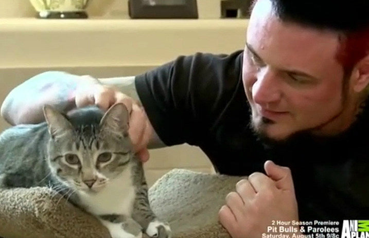 CatFromHellJasonHook
