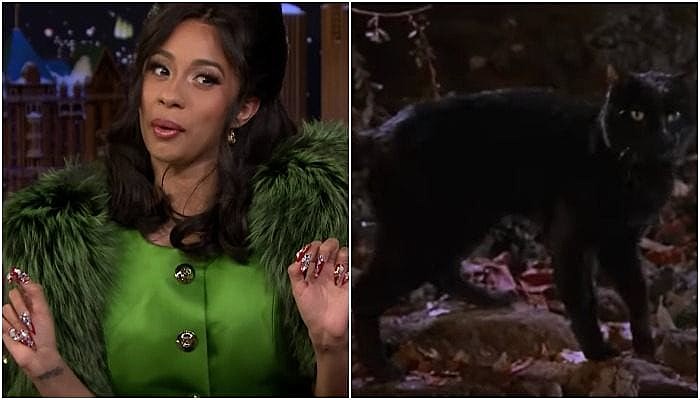 cardi b hocus pocus cat unpopular opinions