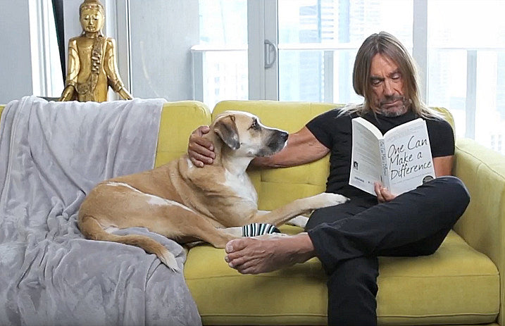 Iggy_pop_peta_ad