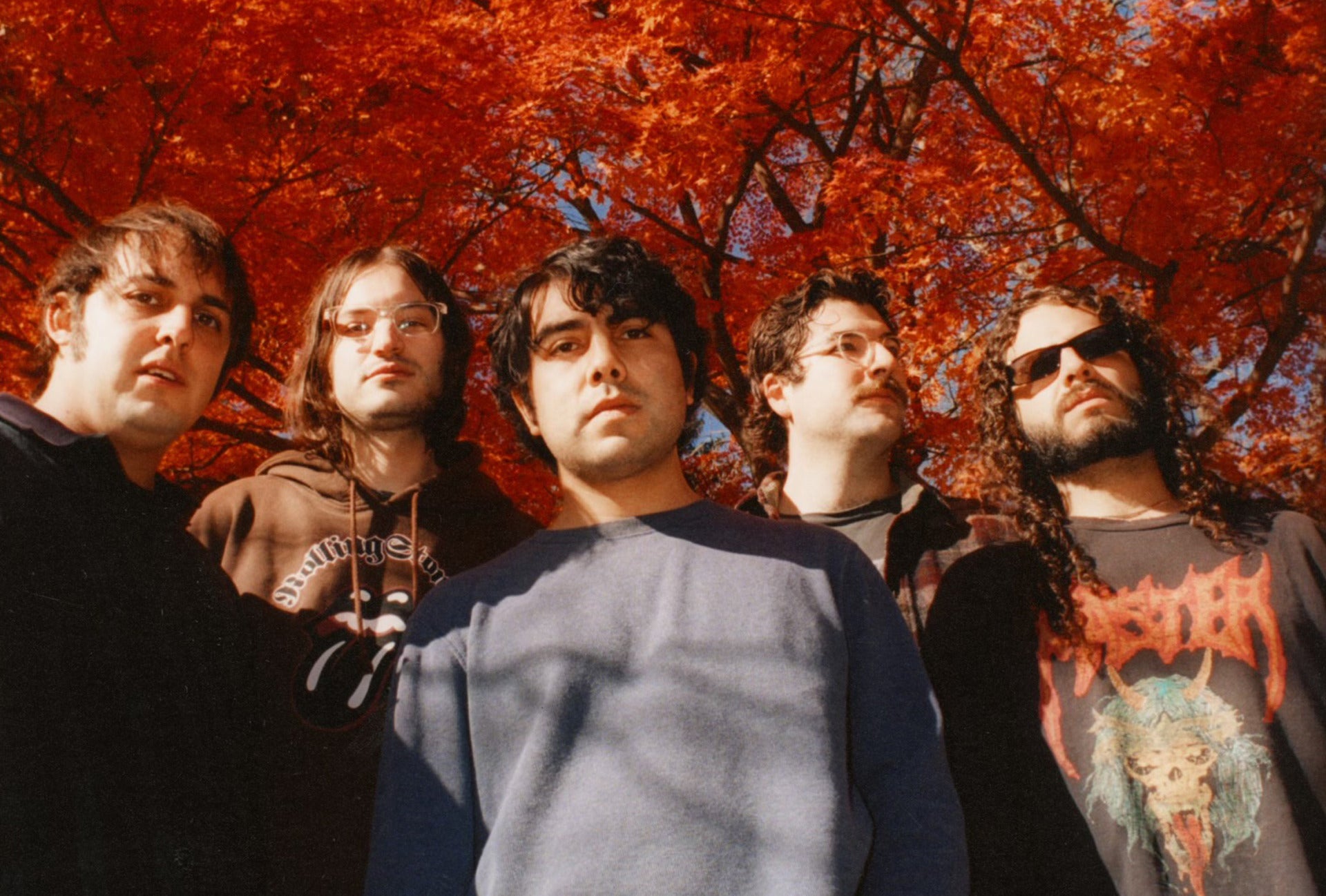 narrow head