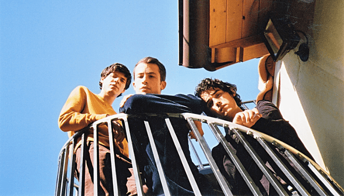 Wallows