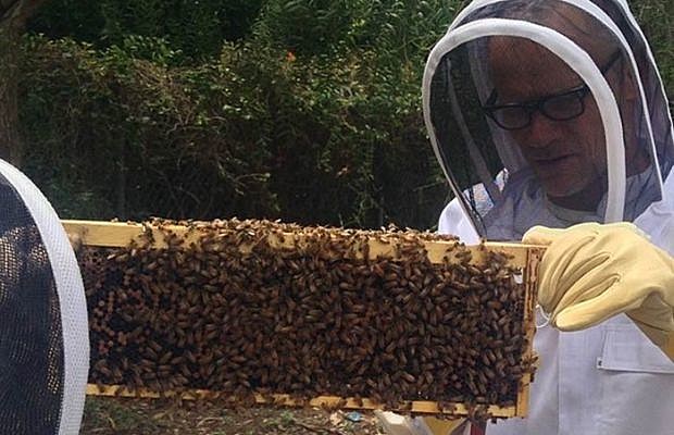 RHCP_Flea_beekeeper_620-400