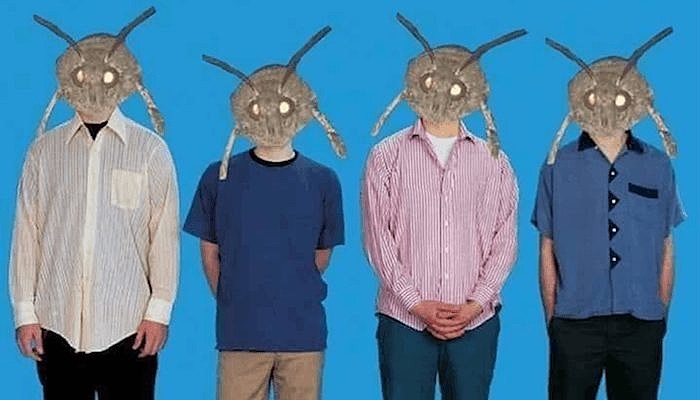 weezer moth memes
