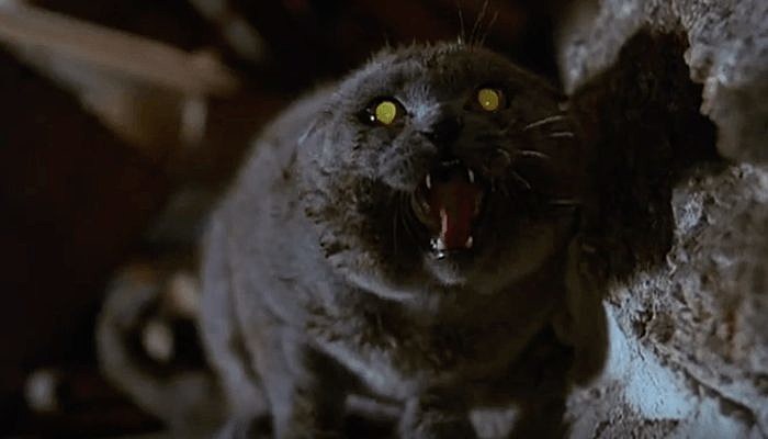 Get a sneak peak of Stephen King’s ‘Pet Sematary’ remake