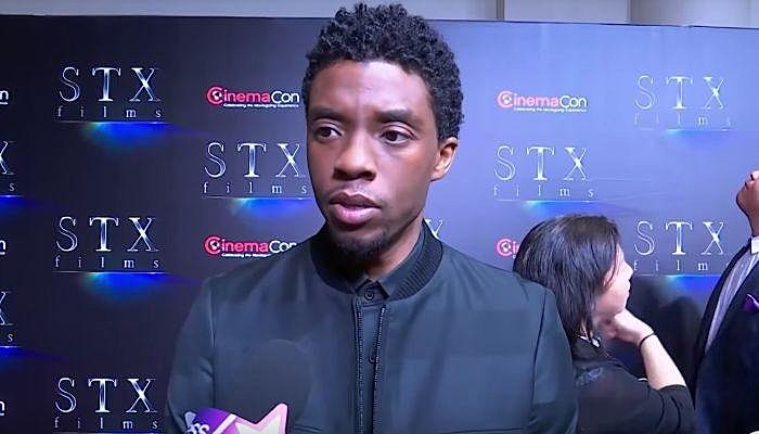 Avengers Endgame, Chadwick Boseman, Black Panther