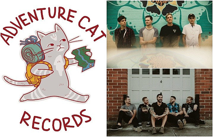 adventure_cat_records_capstan_summer_wars