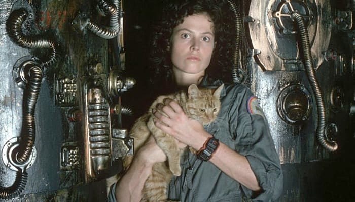 alien-cat-jonesy