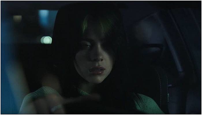 billie eilish everything i wanted music video