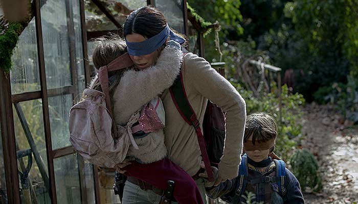 bird box