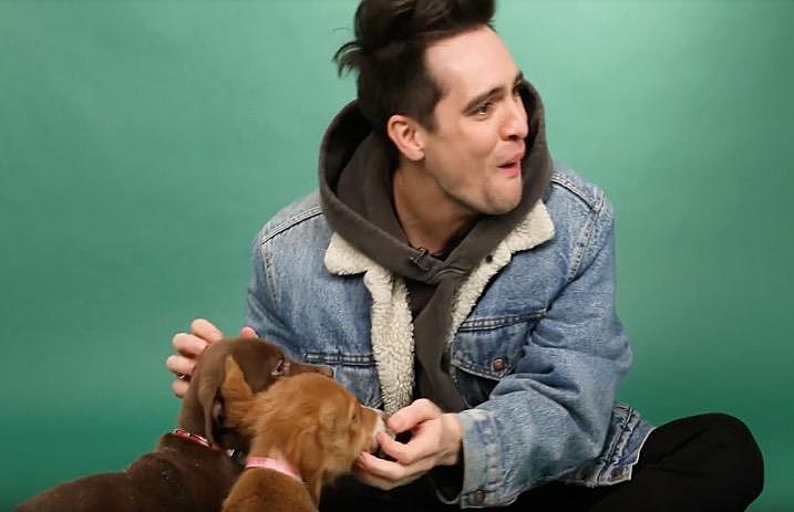 brendon_urie_puppies_buzzfeed_2018