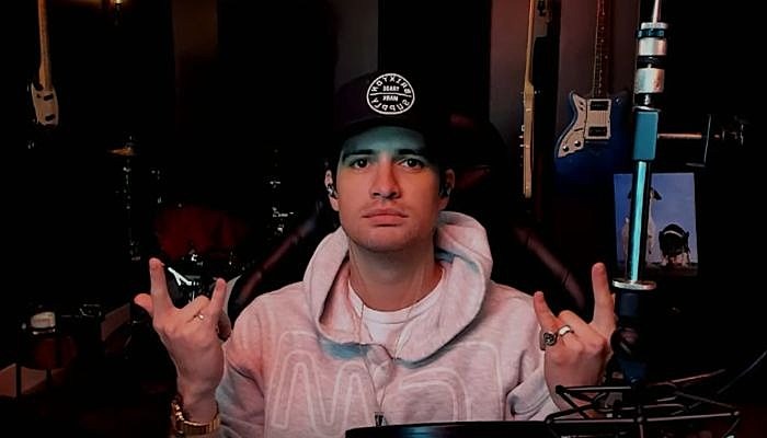 brendon urie, twitch, highest hopes foundation, panic at the disco