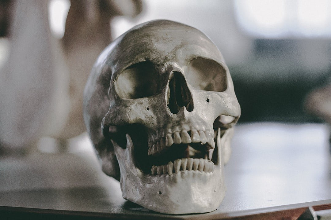 halloween_header
