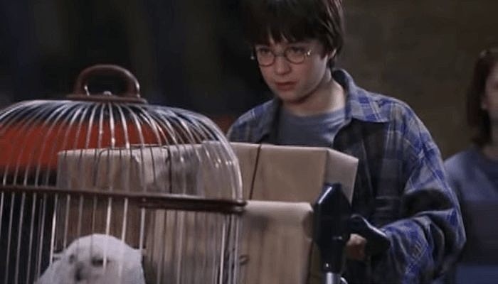 harry potter (1)