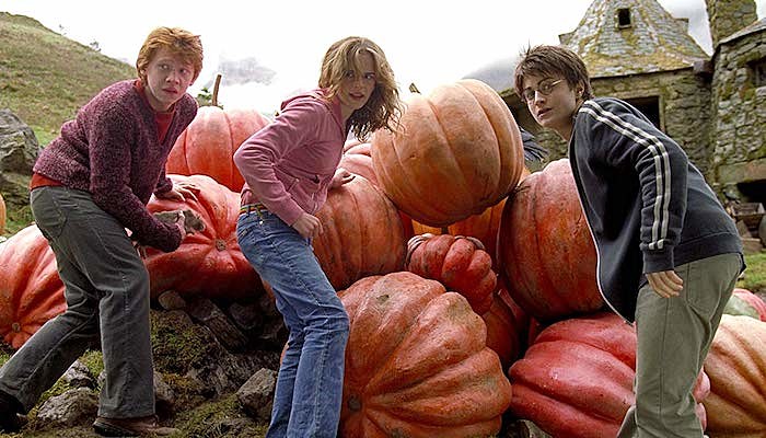 harry potter pumpkins fall