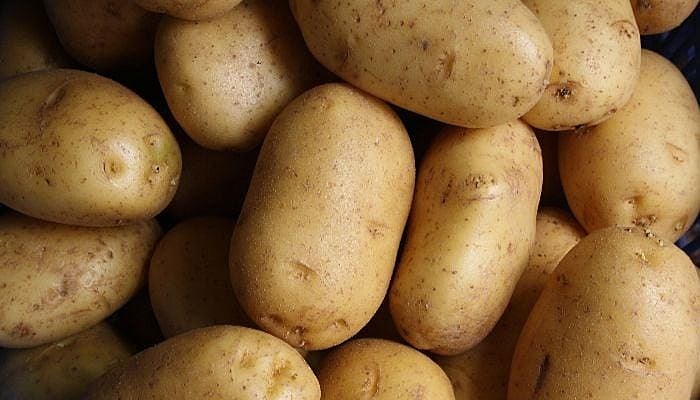 potato