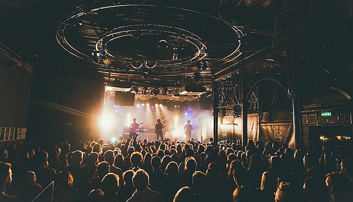 music venue niva