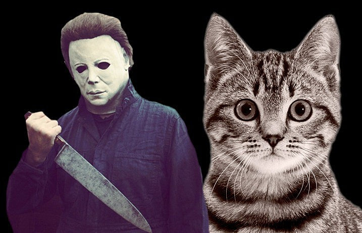new_halloween_movie_michael_myers_will_be_cat_like