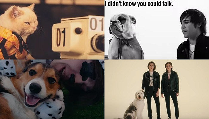 pets in music videos