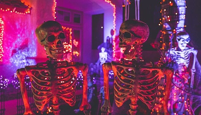 haunted house haunted hoochie