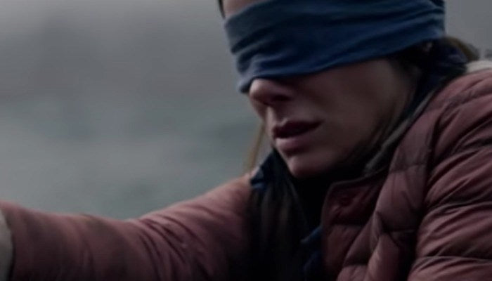 bird box