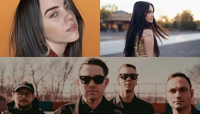 hawthorne heights billie eilish kacey musgraves