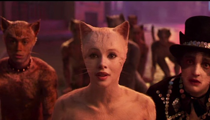 cats