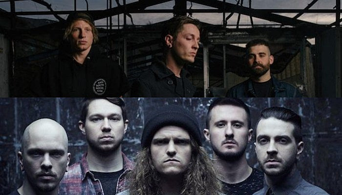 miss may i the word alive