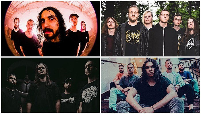 rising deathcore bands