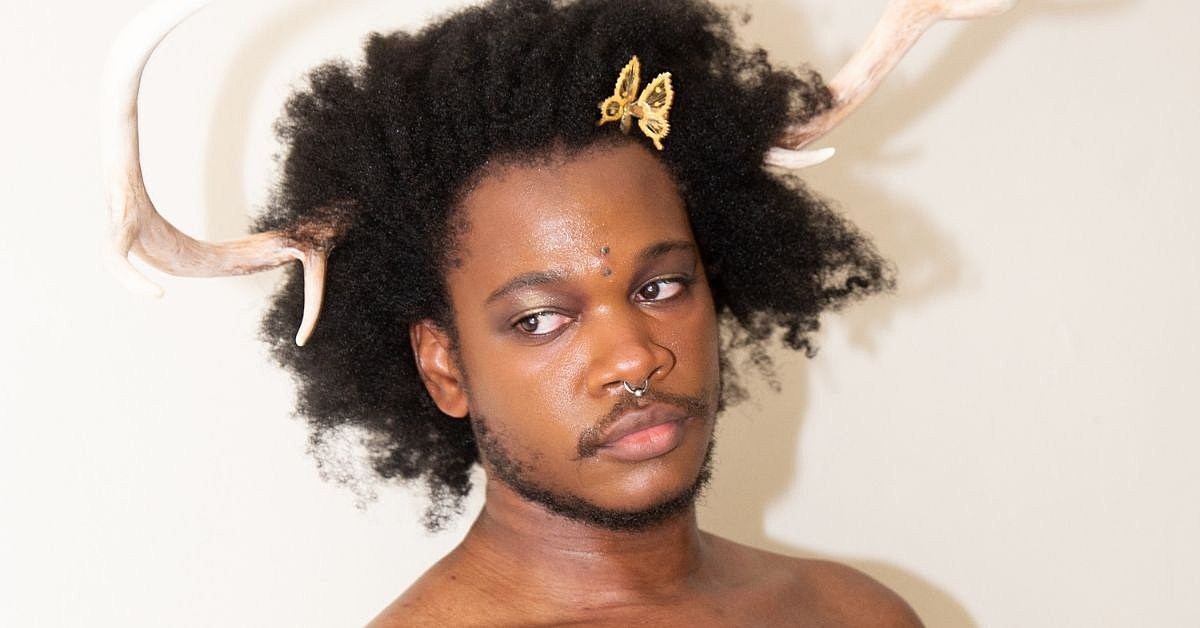 shamir-web