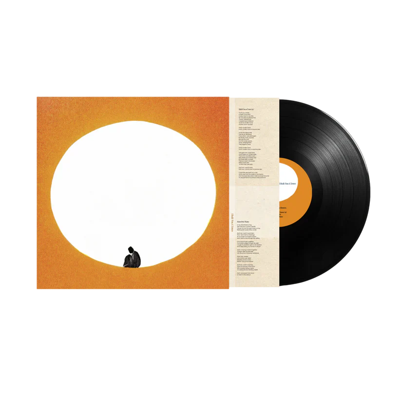 DEATH CAB FOR CUTIE 'I BUILT YOU A TOWER' LP