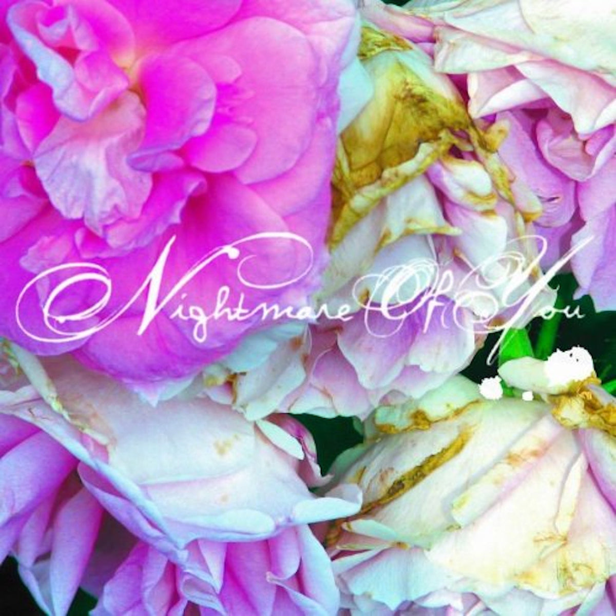 NIGHTMARE OF YOU'NIGHTMARE OF YOU'