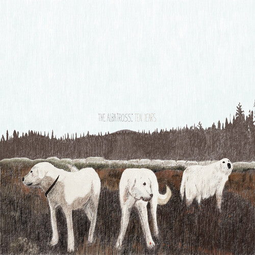 FOXING 'THE ALBATROSS: TEN YEARS' LP (Brown Vinyl)