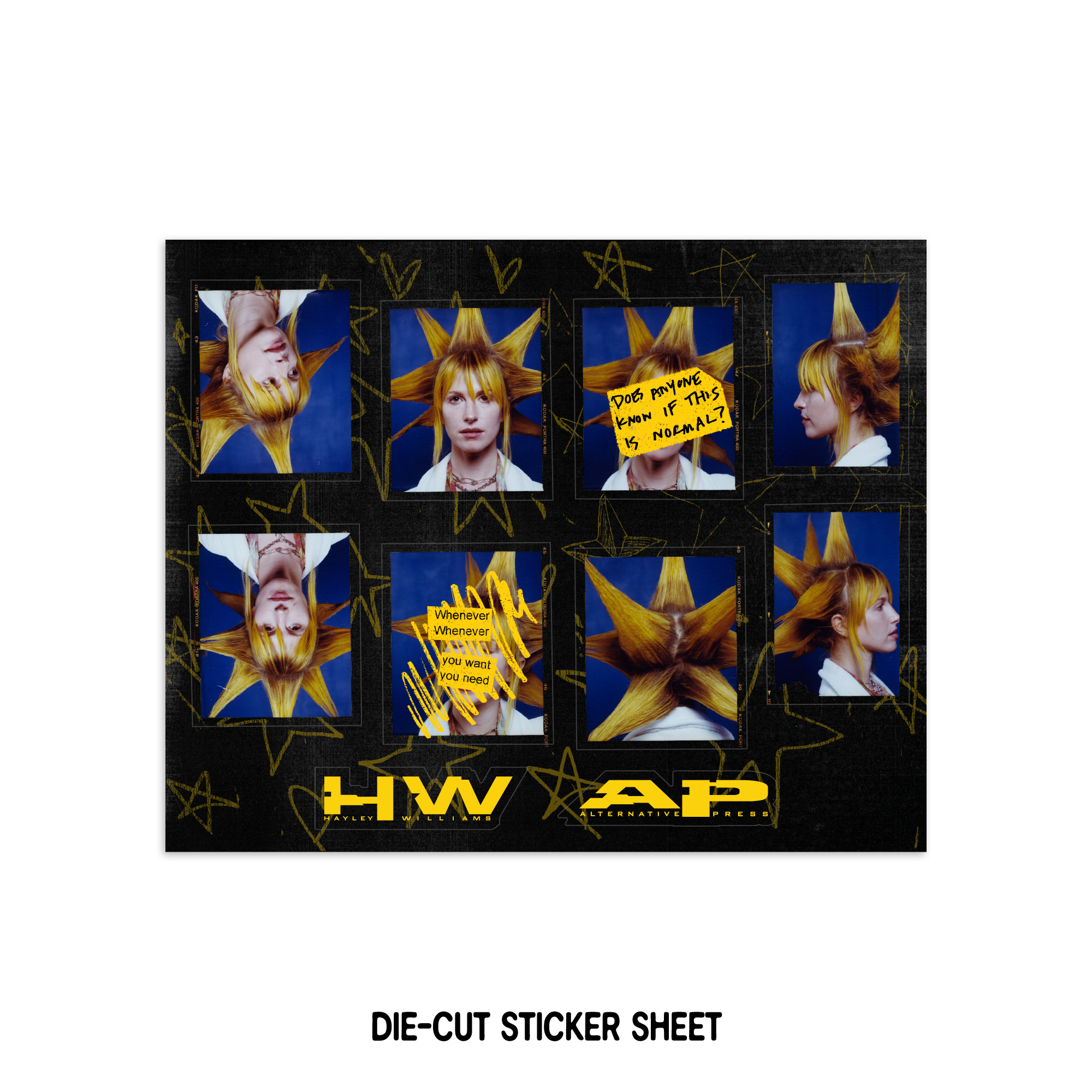 HAYLEY WILLIAMS x ALT PRESS ARTIST OF THE YEAR COLLECTOR'S PACK