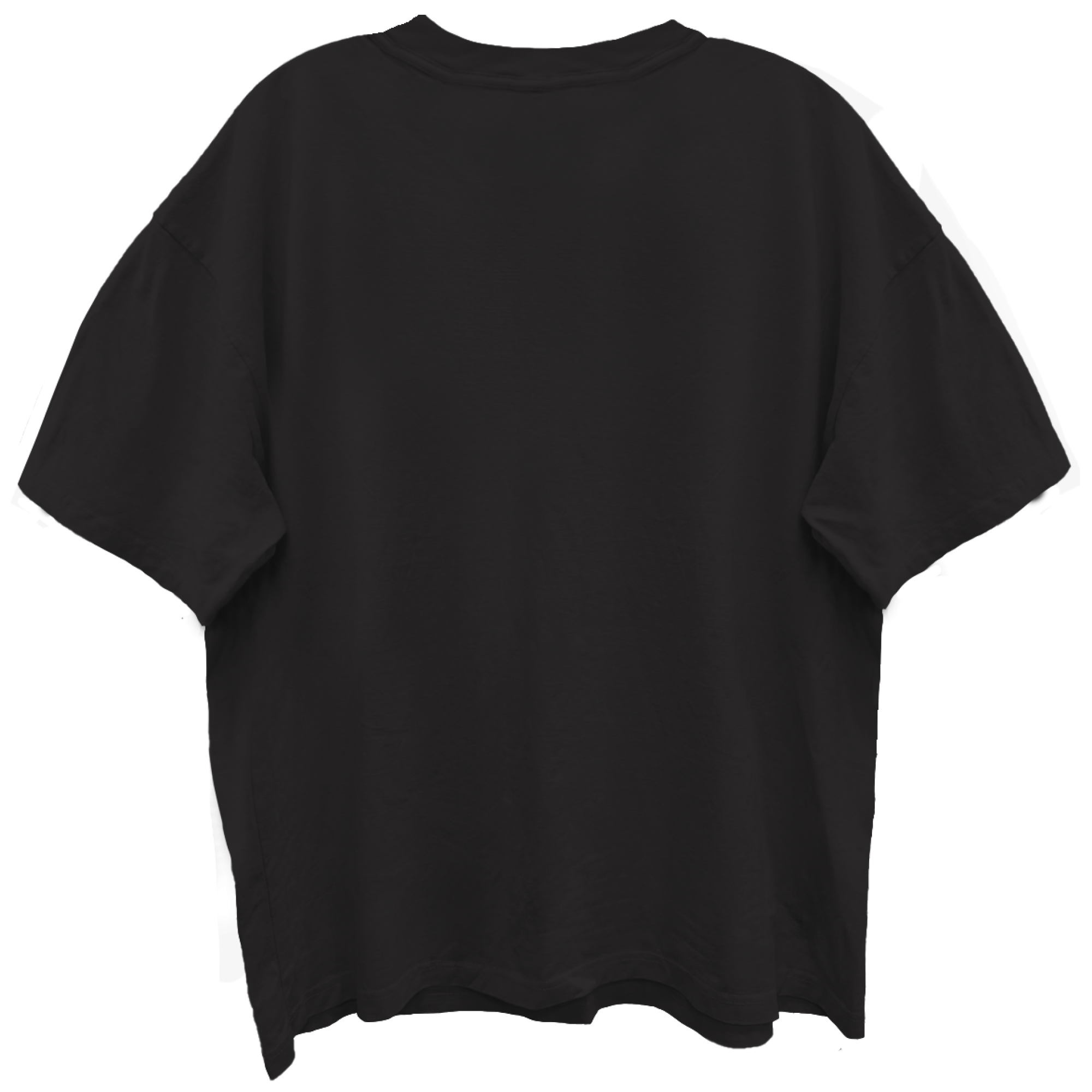 LENNY KRAVITZ UNIVERSAL LOVE TOUR LIMO BLACK ENZYME WASH T-SHIRT/GIANT VINTAGE