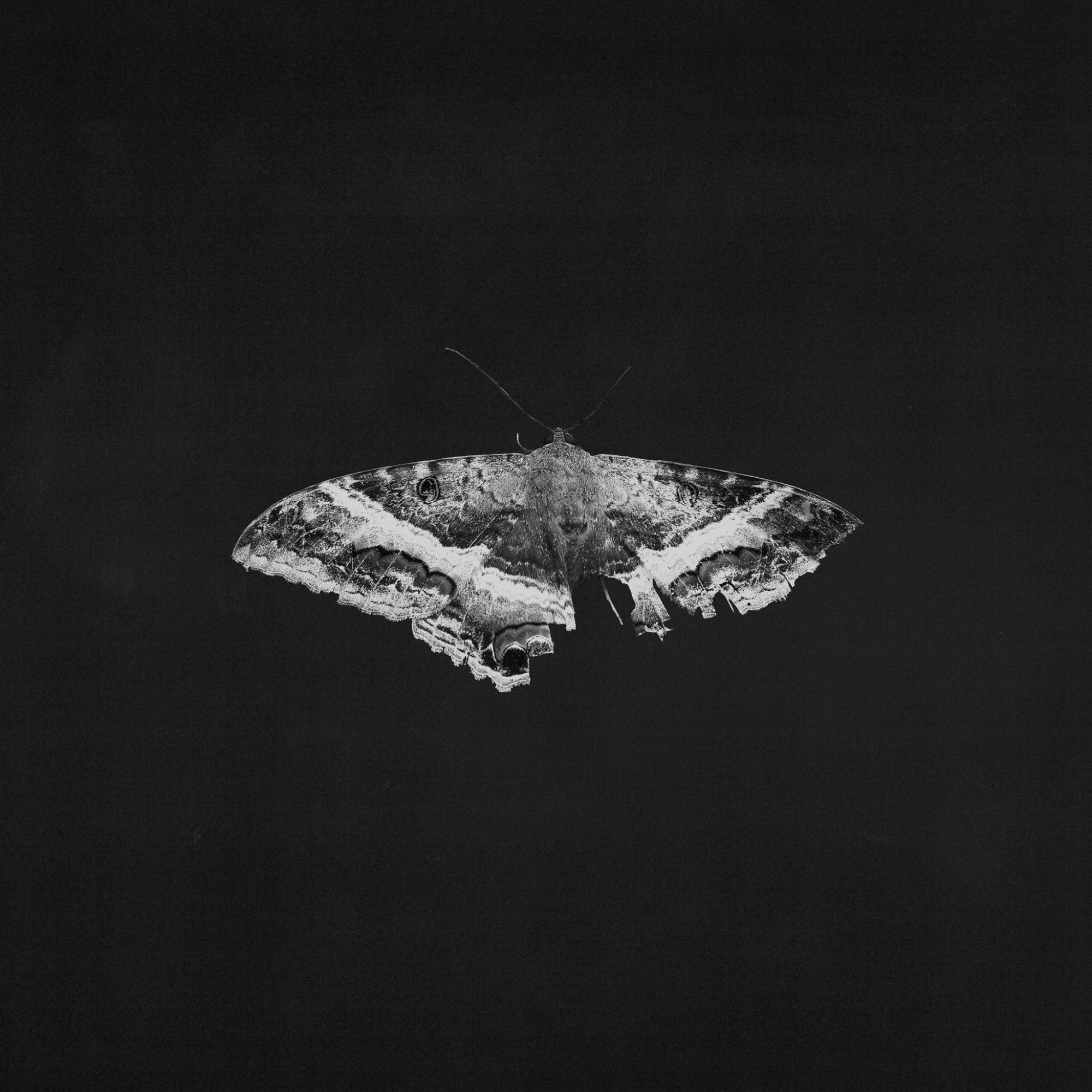 KENDRICK LAMAR 'TO PIMP A BUTTERFLY' 2LP (10th Anniversary Edition, Alternate Artwork)
