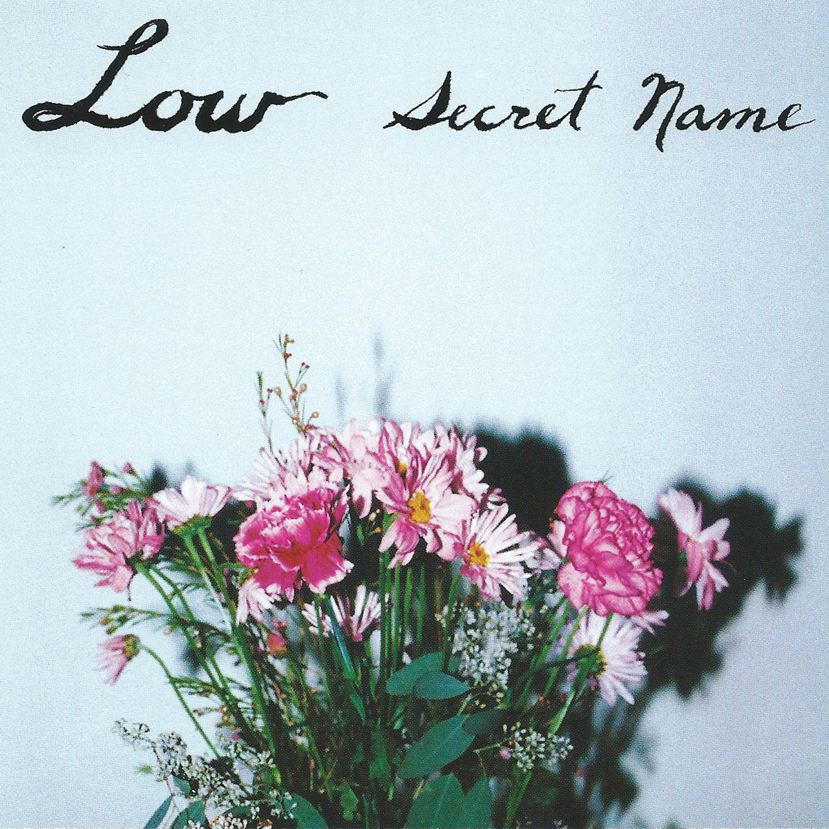 LOW 'SECRET NAME' LP