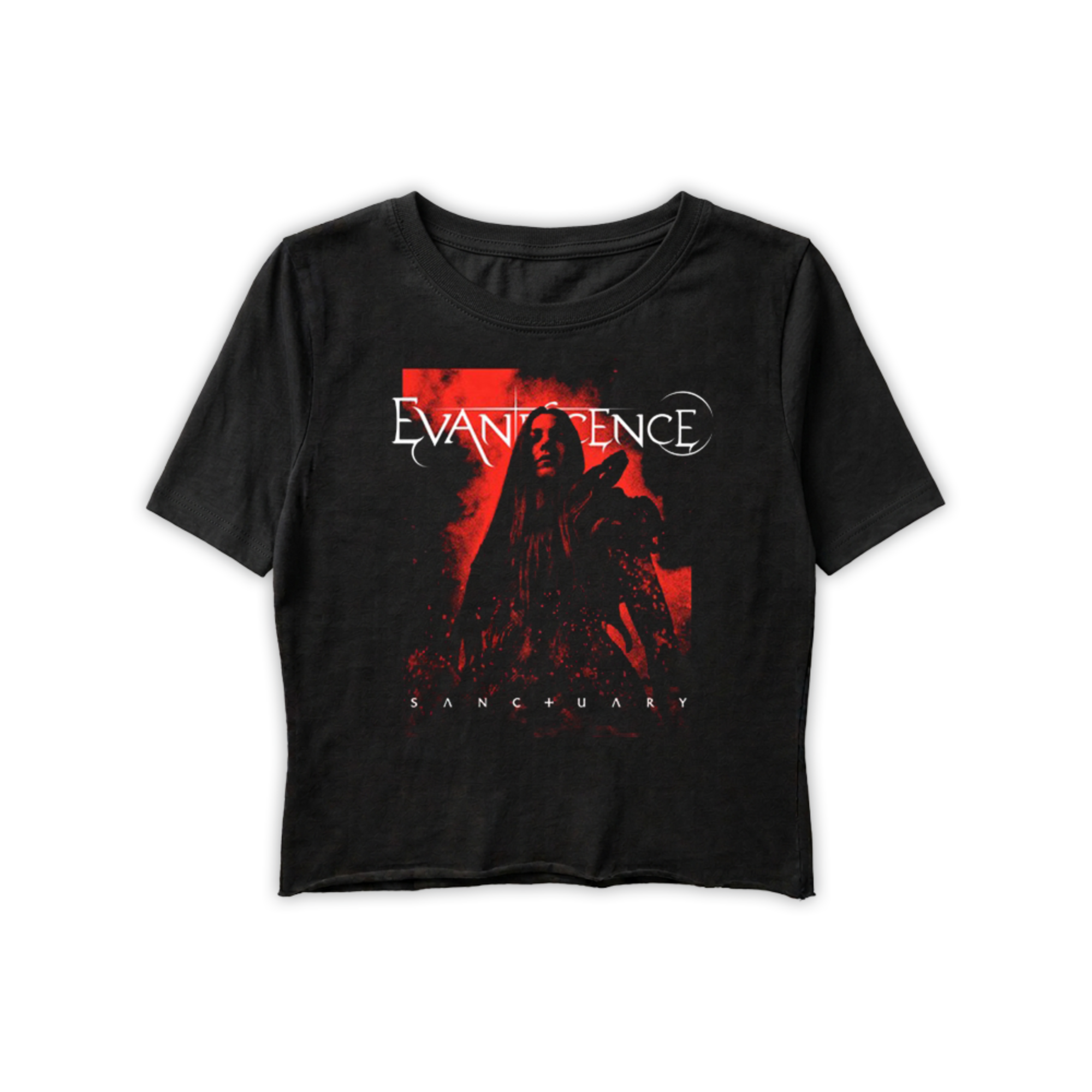 EVANESCENCE 