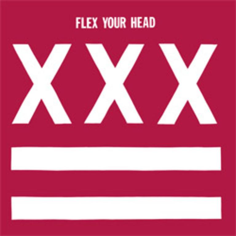 VARIOUS ARTISTS 'FLEX YOUR HEAD' LP (Legendary Dischord Records Comp: Minor Threat, More)