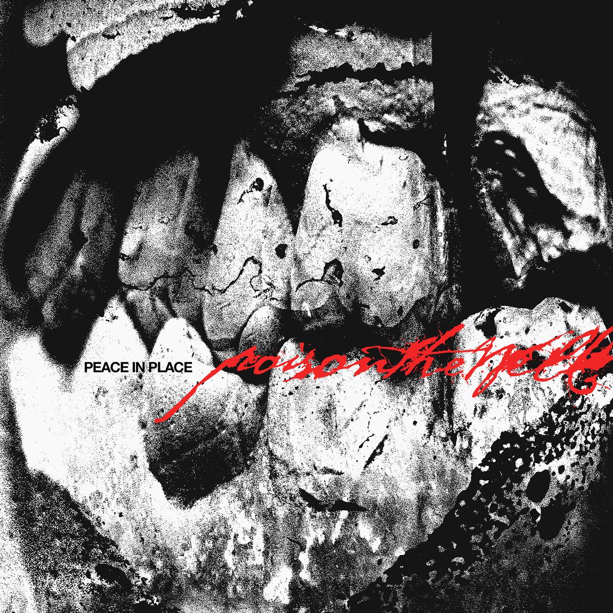 POISON THE WELL'PEACE IN PLACE' CD