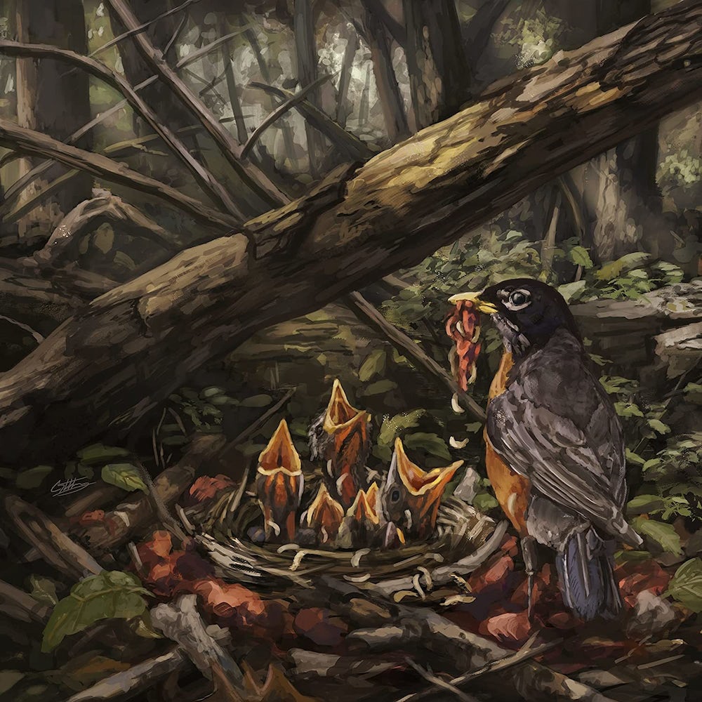 THE ACACIA STRAIN 'STEP INTO THE LIGHT' LP (Sea Food Allergy Vinyl w