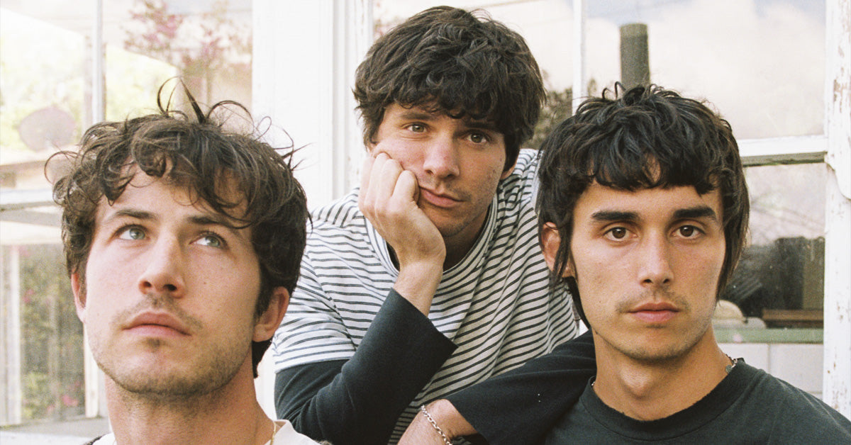 wallows model