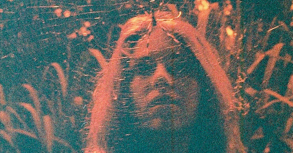 turnover peripheral vision anniversary tour 2025
