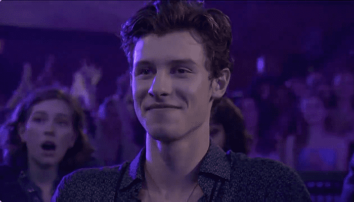 shawn mendes