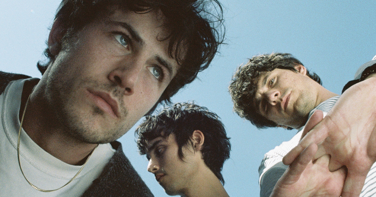 wallows
