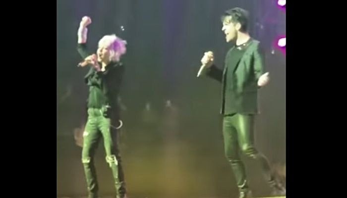 panic_at_the_disco_cyndi_lauper