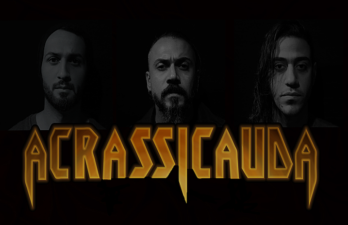 Acrassicauda