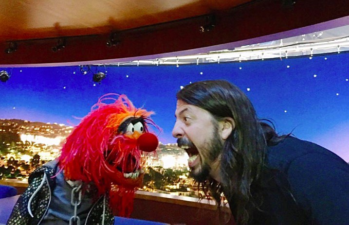 Dave_Grohl__Muppet_-_717-463