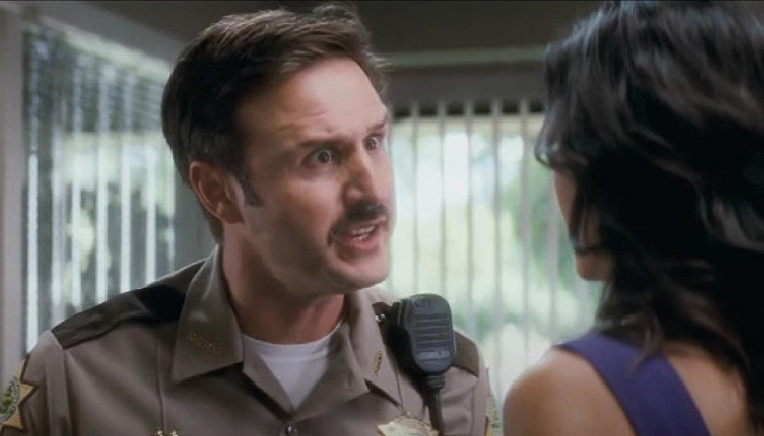 David Arquette Scream 5